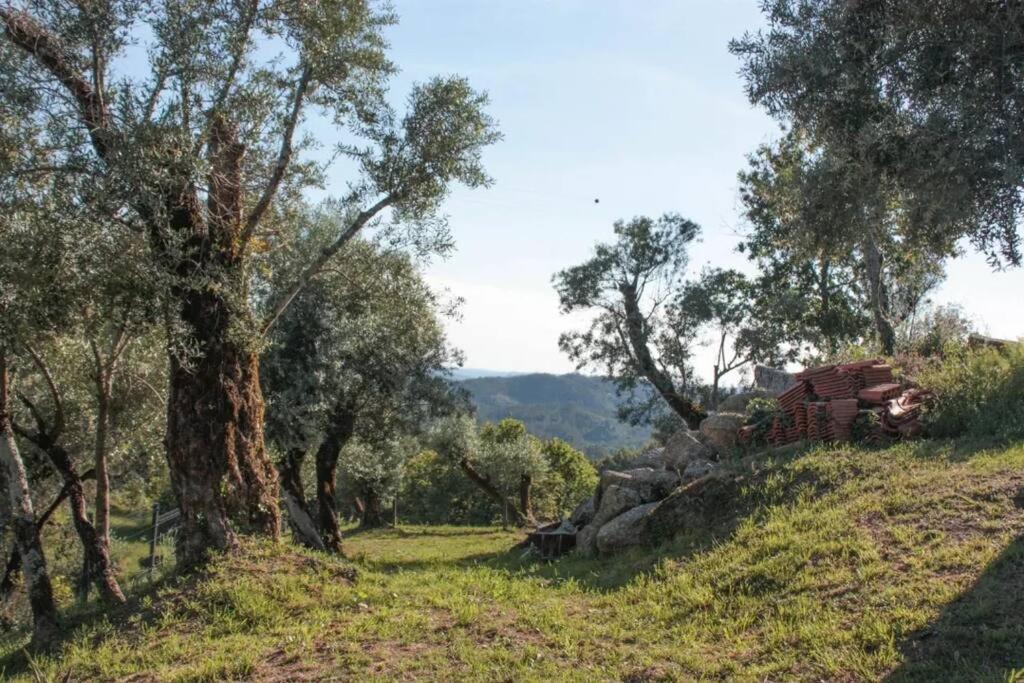 Cantinho Da Pereira Lugar エクステリア 写真