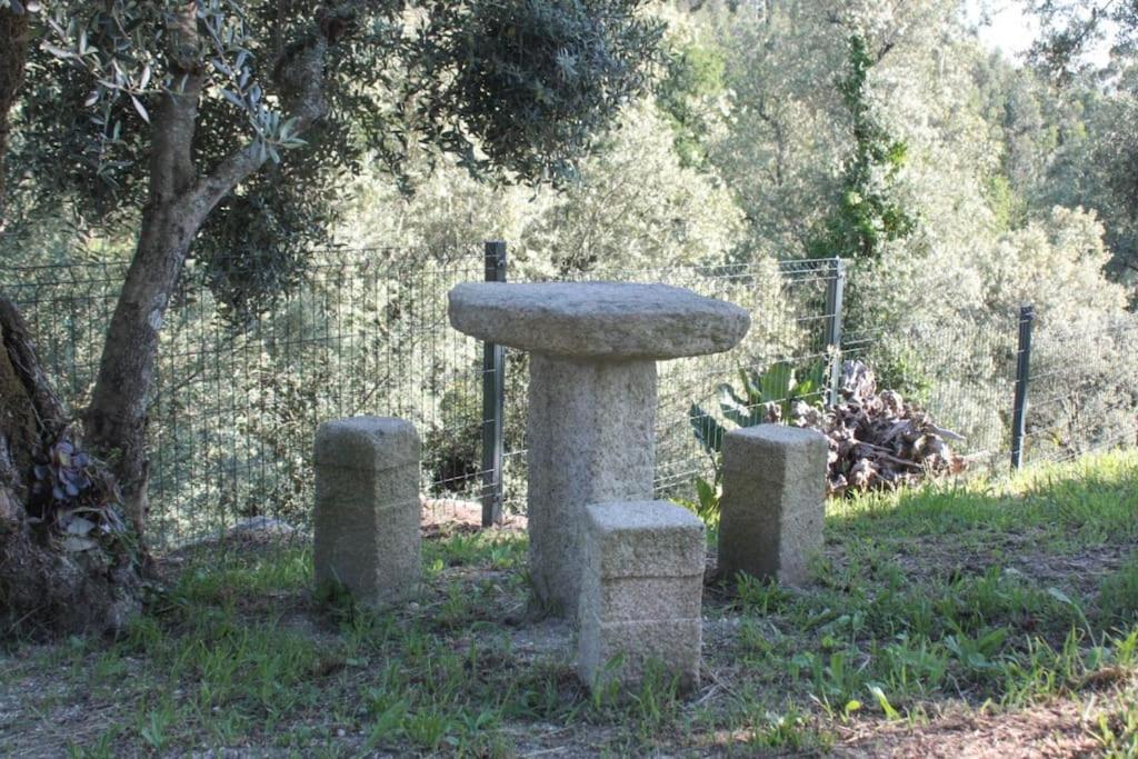Cantinho Da Pereira Lugar エクステリア 写真